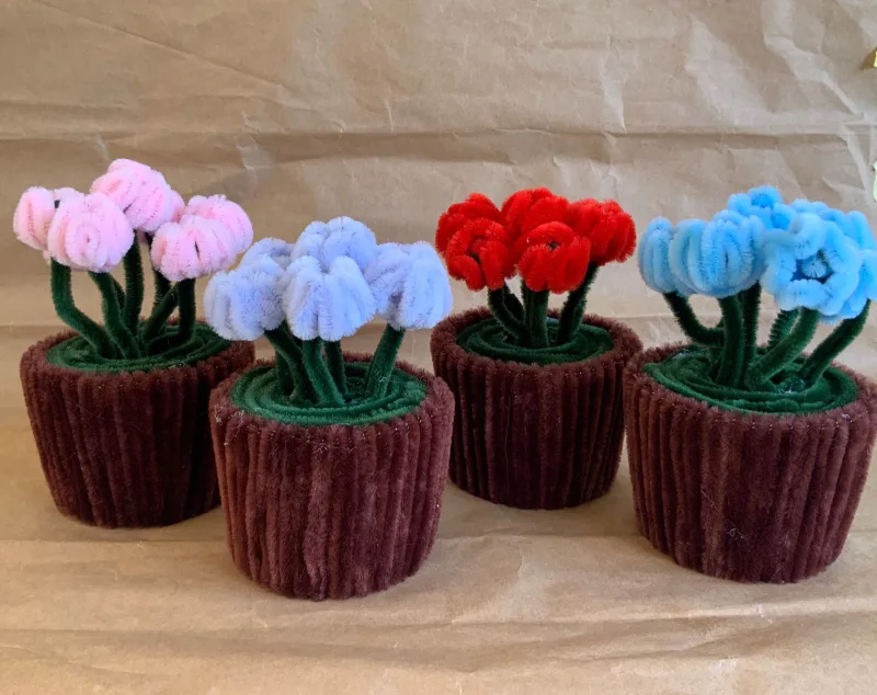 Potted plants